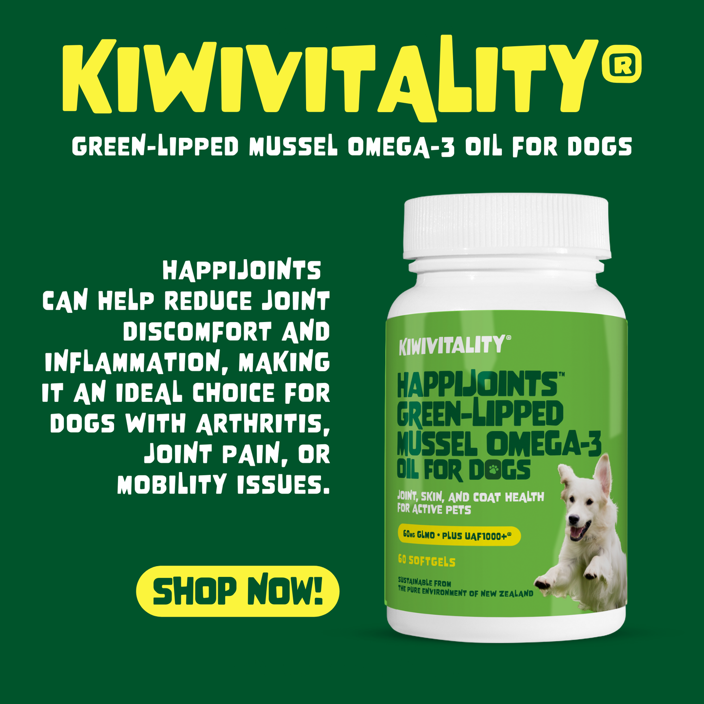 Green-Lipped Mussel Omega-3 Oil for Dogs