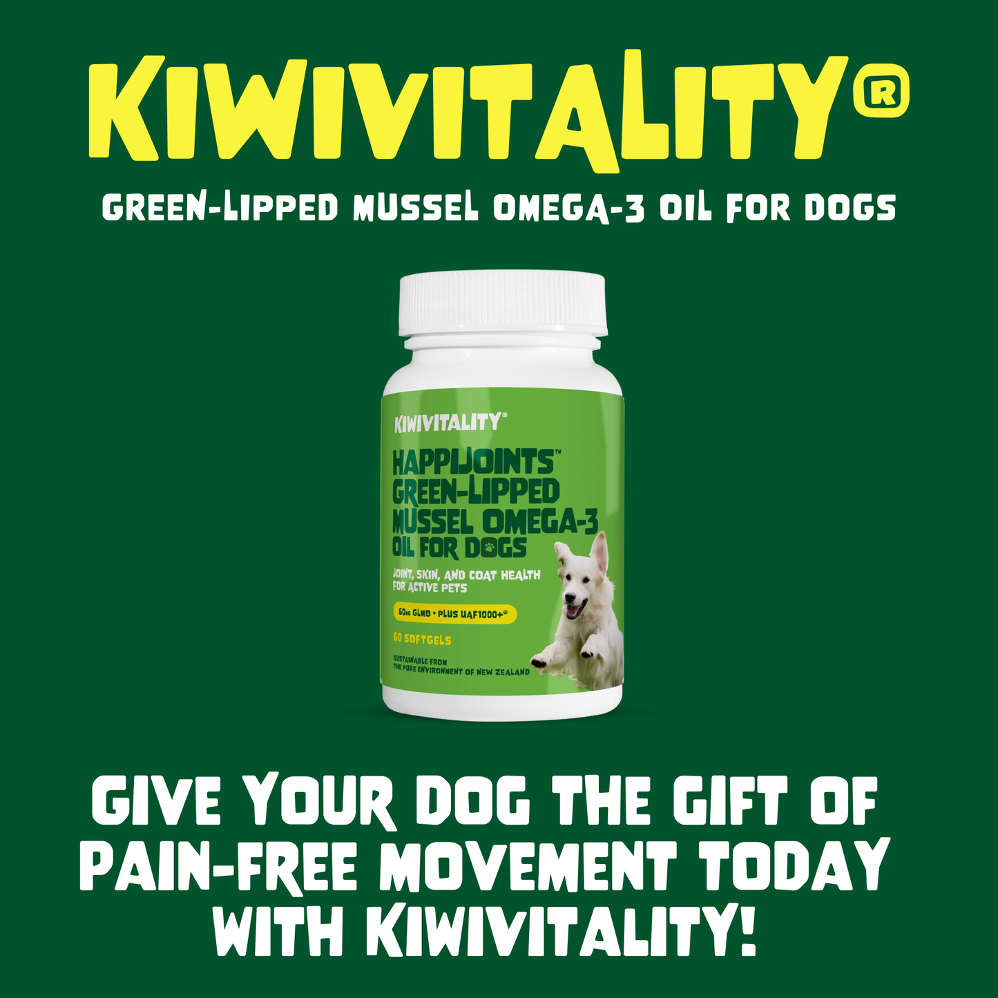 Green-Lipped Mussel Omega-3 Oil for Dogs