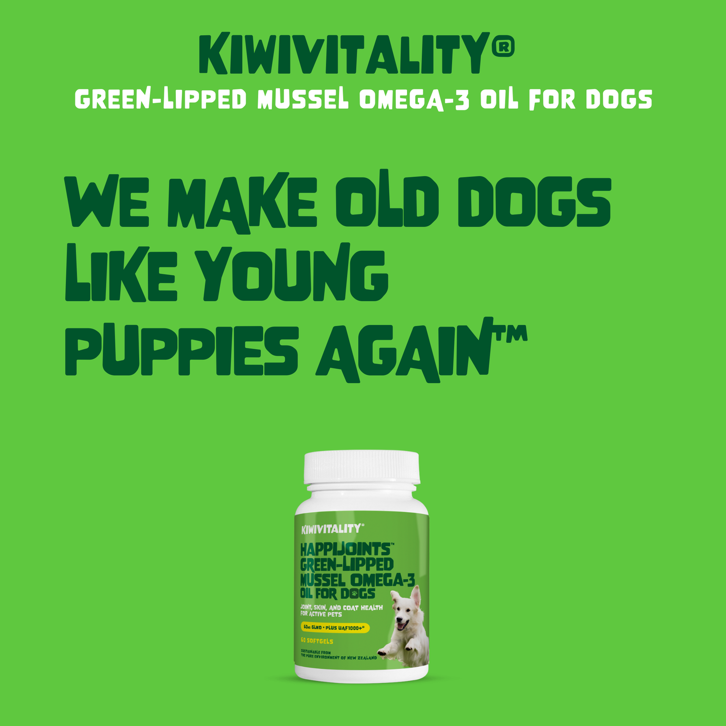 Green-Lipped Mussel Omega-3 Oil for Dogs