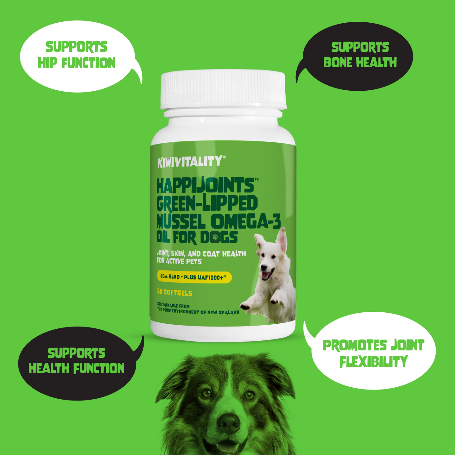 Green-Lipped Mussel Omega-3 Oil for Dogs